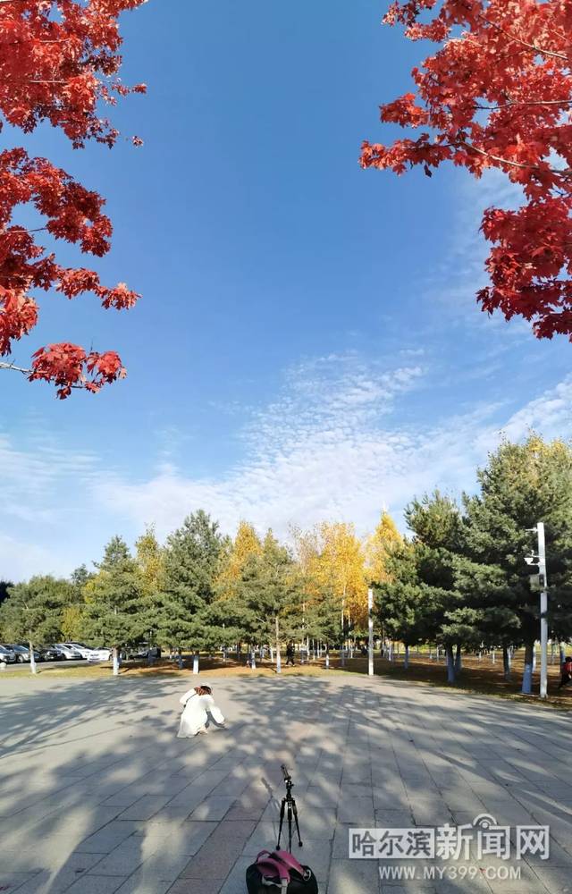 男 +同 网 动漫 男同并合理安排时间