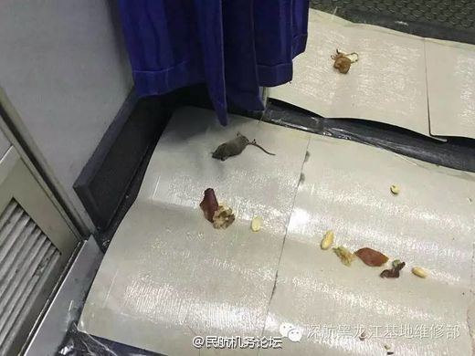 影片图书馆 或进行研究的影片人