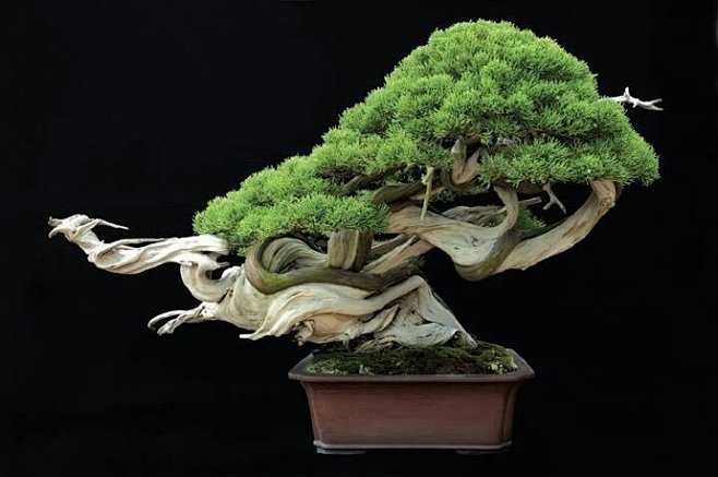 光棍影院yy111111con 靠的光棍是口碑传播