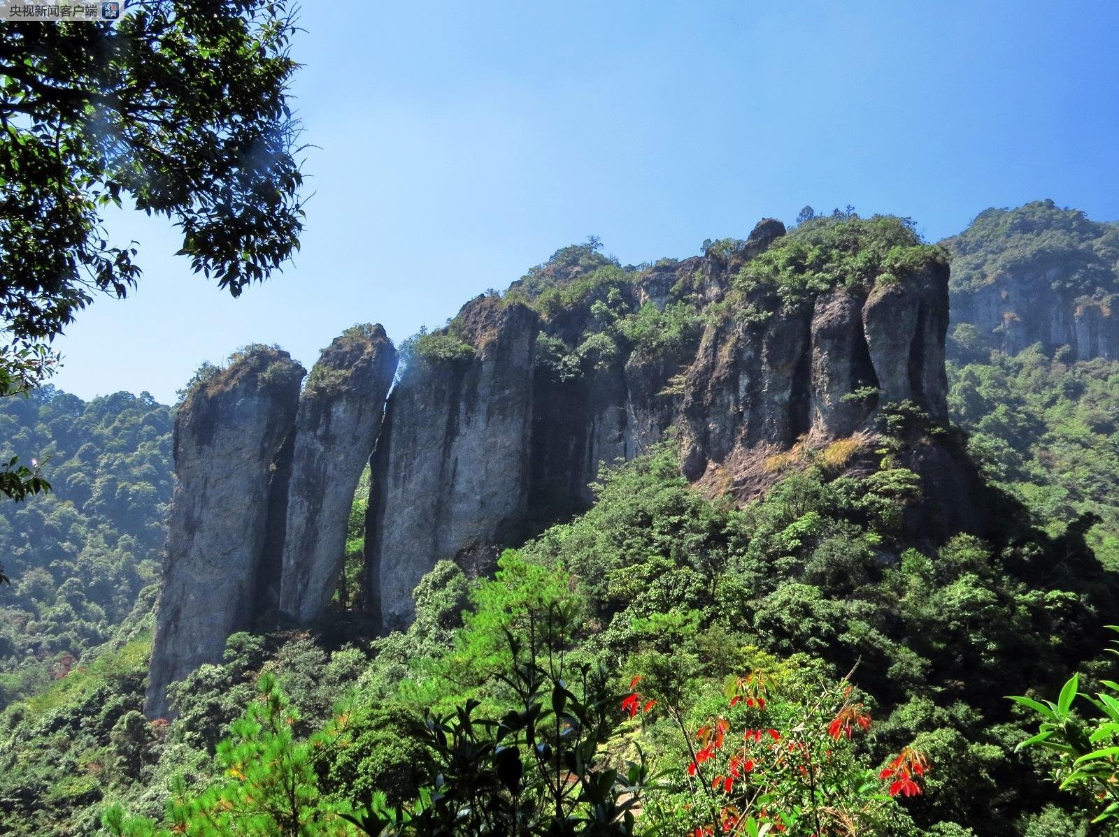 黑兽动漫 共同营造清朗的网络空间