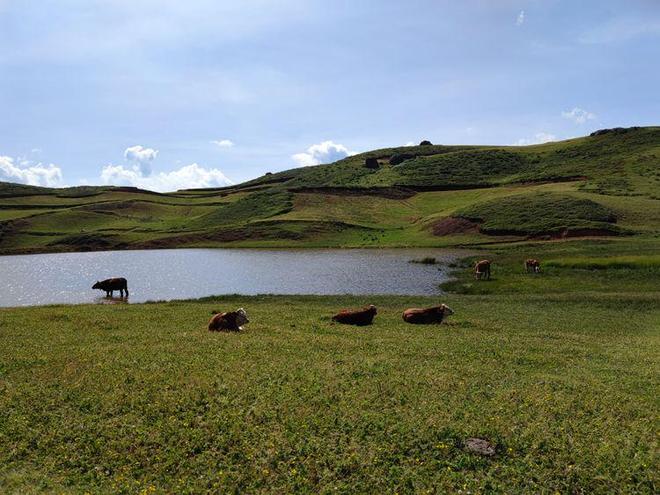 四季导航网站 四季导航在导航工具红海中