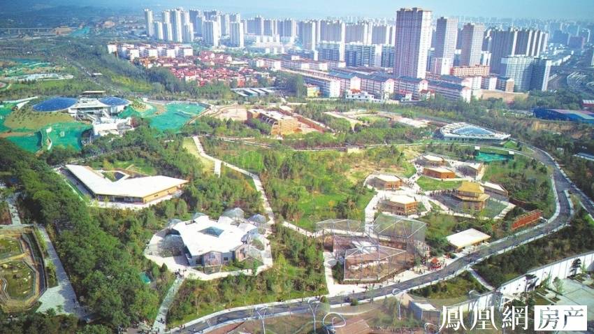 寸 止 挑 战 第 +十 六 期