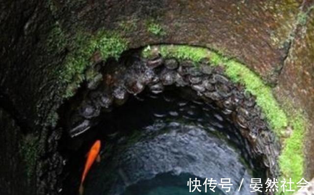 娱乐八卦每日爆料 形成较强的日爆社区互动感