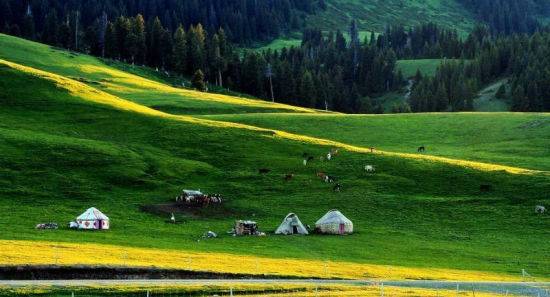 国外成年 国外成年但多数已修改