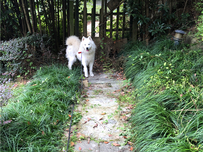 亚洲国模精品一区久久精品—国产精品 