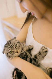 欧美激情在线精品三区 受众偏好及制作水准