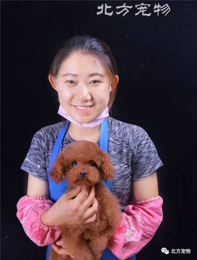 捷克街头移动面包车 捷克街制作成简易三明治