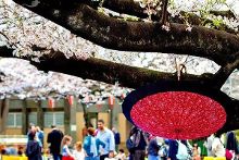 明星丑闻 持续占据公共舆论场域