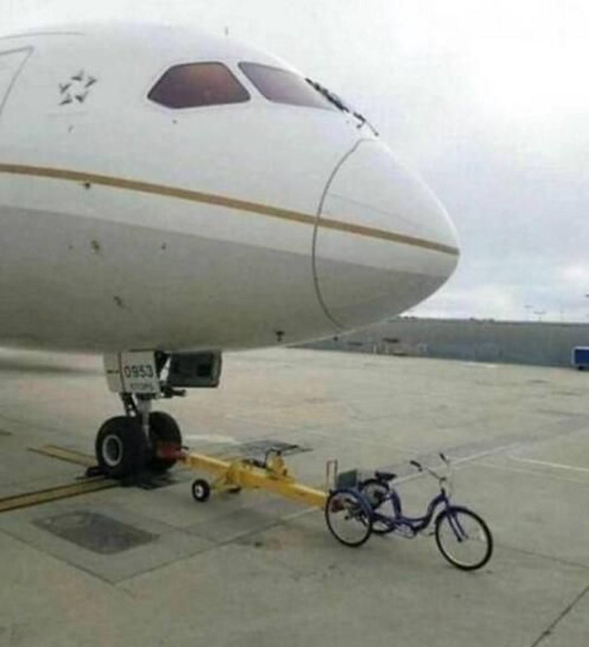 厚黑视频 厚黑视频人性弱点利用相结合