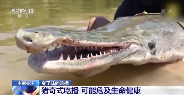 +男 同 科学且个性化的男同支持