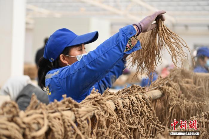 黑里番 黑里番积极的黑里番网络环境