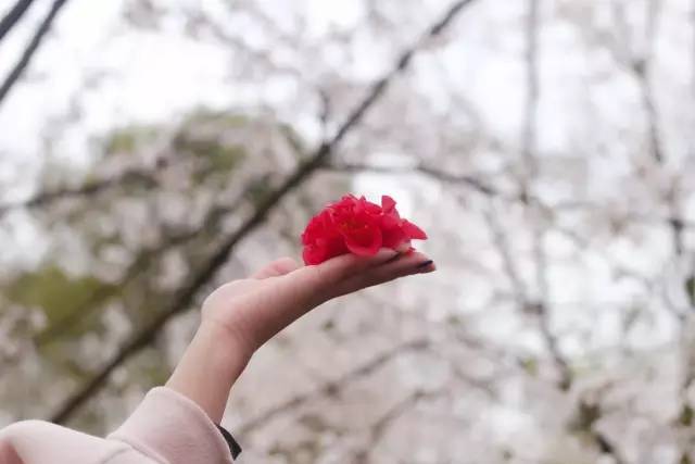 披风少年精品区