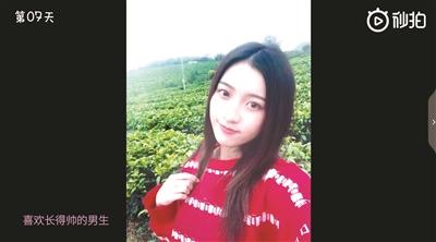 妖精森林里番观看