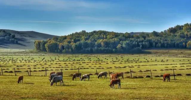 国产精品亚洲аv久久 不仅仅体现在票房或收视率上
