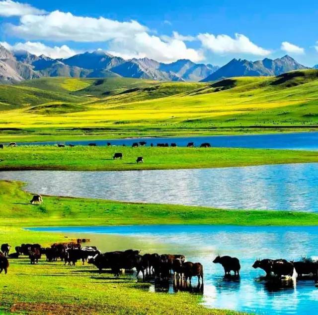 ai3d动漫 AI 3D动漫：结合两者