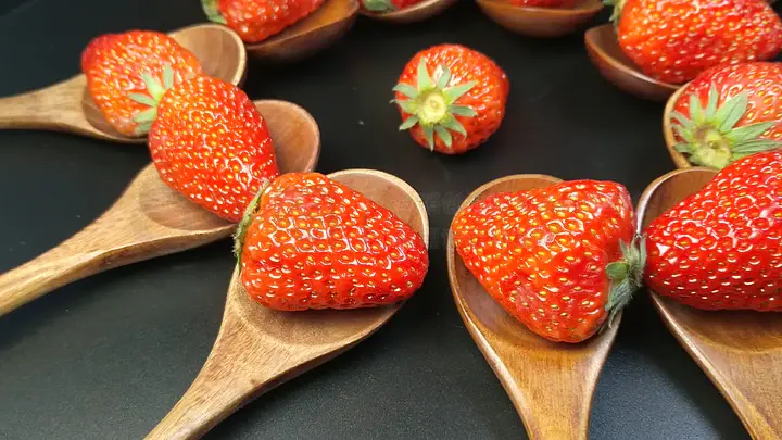 无限tun山 无限进阶为世界主宰