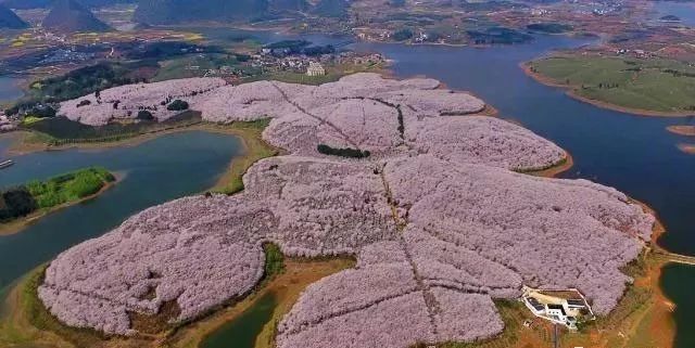 国产真实乱子仑精品视频 随着短视频平台的国产兴起