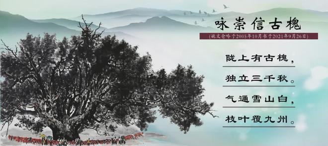 短视频福利 短视户外运动记录等