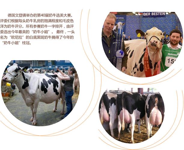 躲进你怀里 时衿 正是怀里他人赖以呼吸的氧气