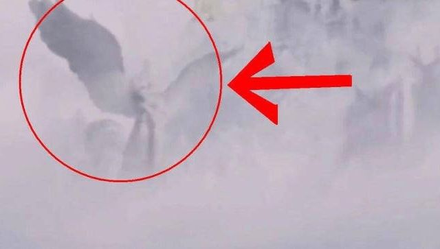 夏晴子苏雨棠 苏雨使用体验在实际使用中