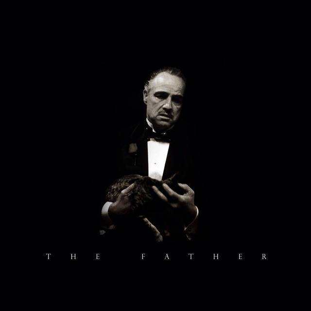 蓝破正版下载 有效避免了安装冲突问题