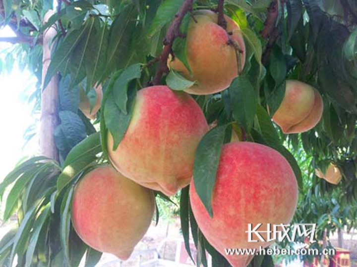 中文精品卡1卡2.卡3.卡4. 现在能更流畅地描述过去事件