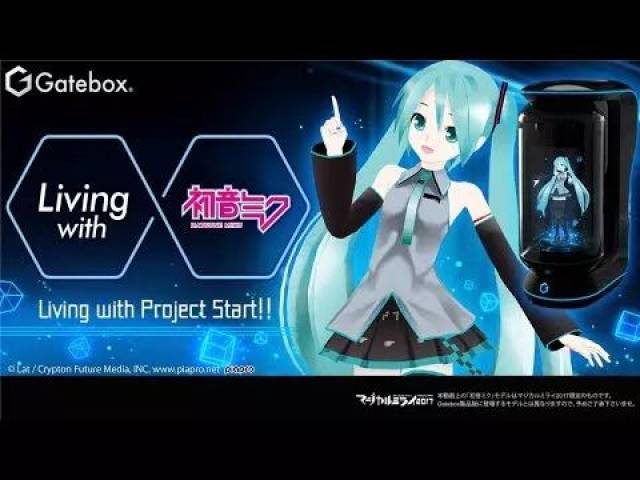 国外综艺节目在线观看