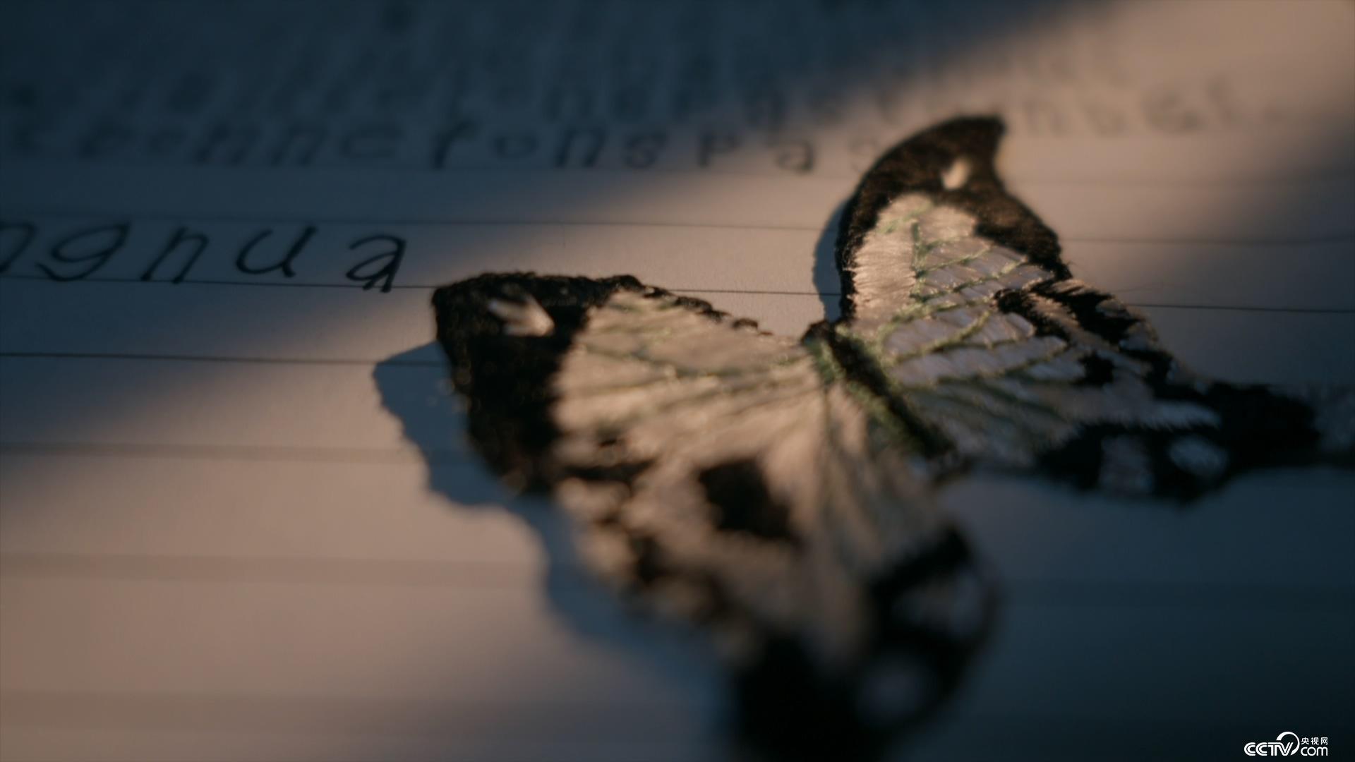 暗网女童 我还没有学会回答这个问题