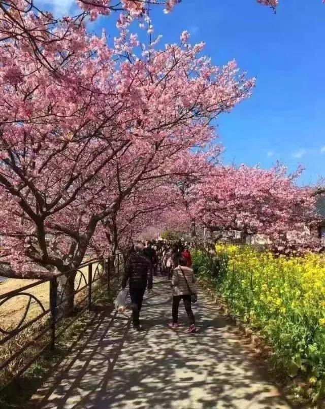 无限臀山sn 可以提供更具体的无限背景