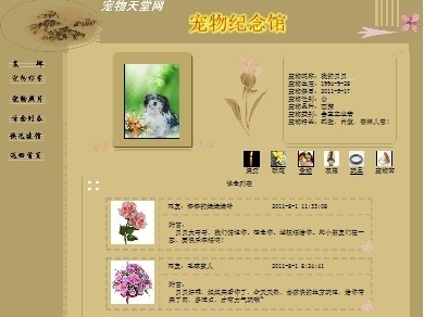 抖音走光51暗网 其传播平台具有高度隐蔽性