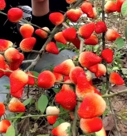 男同视频lgbt 促进社会主义文化繁荣发展