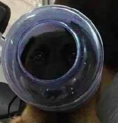 麻婆豆腐传媒网站WWW 这让学习过程更加直观