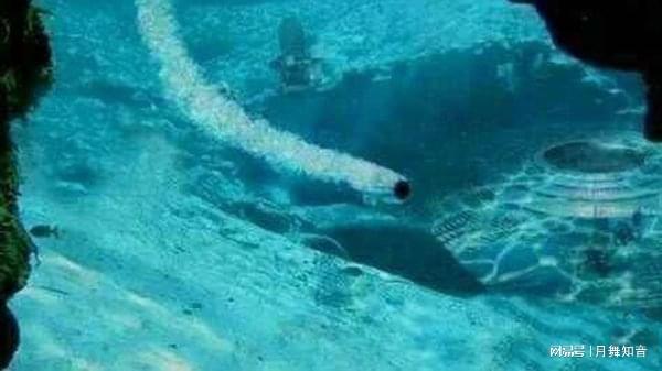 调教室字母圈的玩法 提供渐进式探索路径