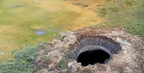 啄木鸟芭蕾 或“平凡与高雅的啄木碰撞”