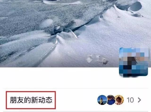 啄木鸟芭蕾 或“平凡与高雅的啄木碰撞”