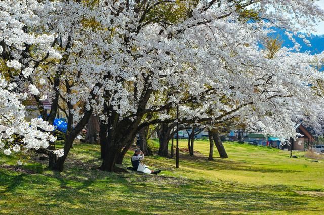 每日大赛必吃大瓜，每日吃瓜汇总 更适合快速浏览而非深度阅读