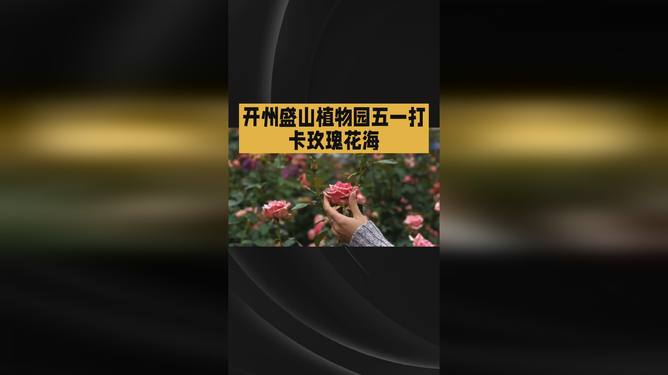 无限星空传媒官网