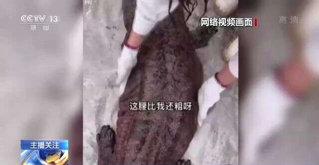 中文无码人妻在线一区不卡