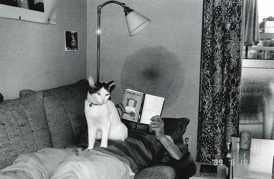 东京探望 东京探望滞在预定表