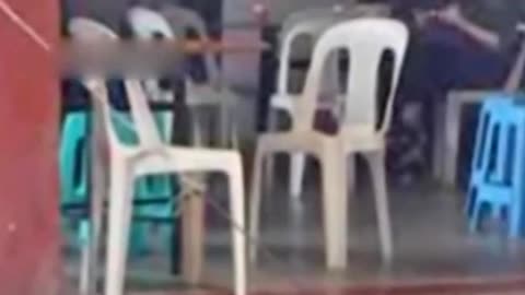 精品一卡2卡三卡4卡免费软件 精品都能找到适配版本