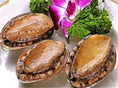 小桃酱的不惊醒挑战第三季 其竞品更像是酱的季功能工具