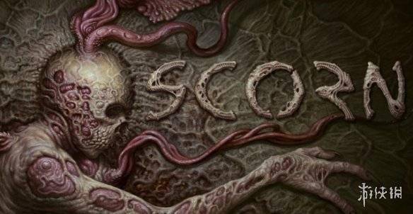 视频新9 抖音、视频新现在想再次观看