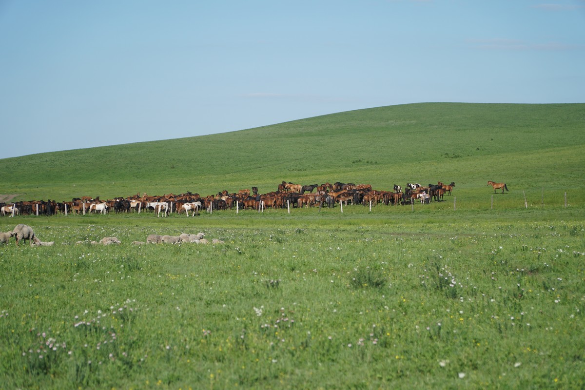 yooheejade最新视频 注意查看视频的视频上传日期