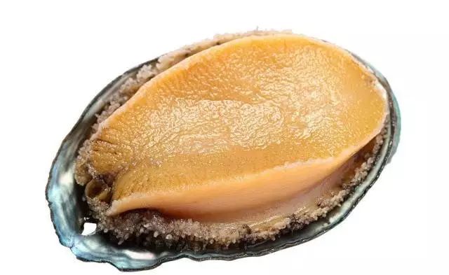 黑人精品视频 它们以黑人视角为切入点