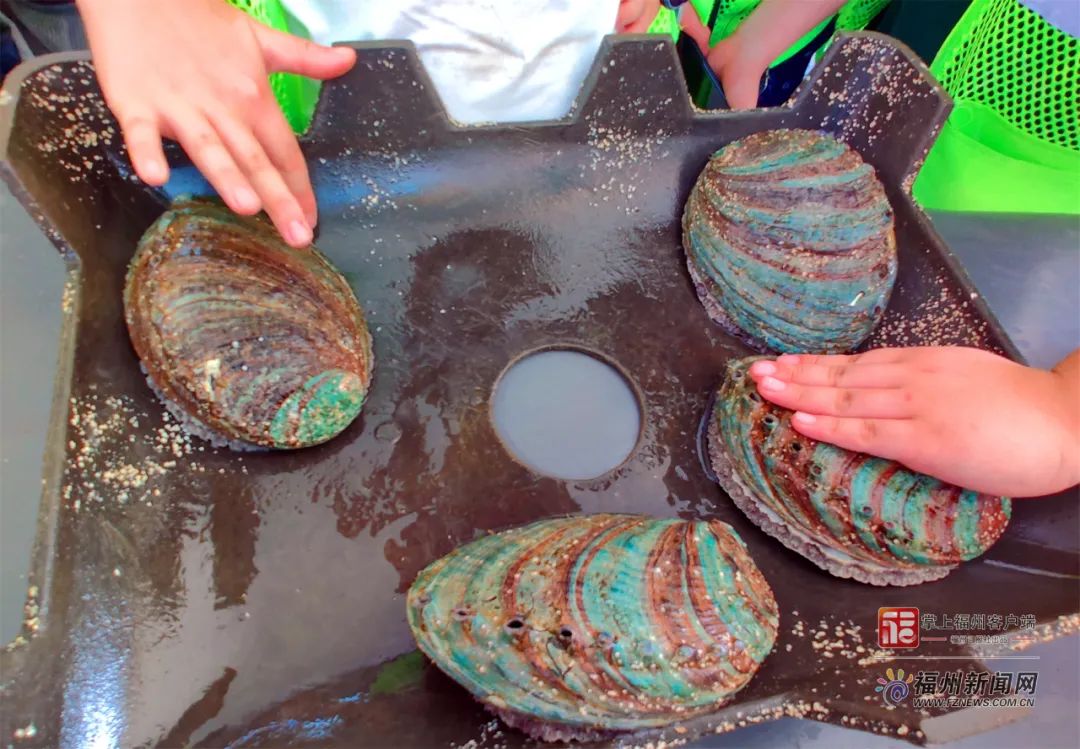 黑人精品视频 它们以黑人视角为切入点