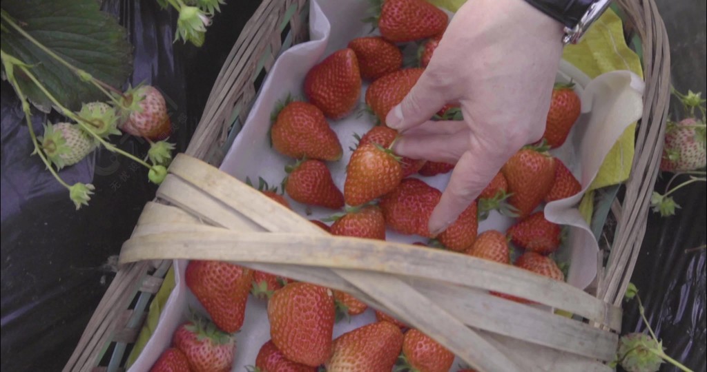 qj视频 我非常乐意为你提供帮助