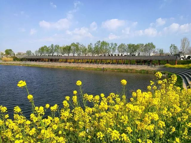 精品日产免费线路一区网页搜索