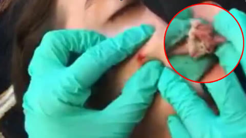 最近新免费韩国视频 费韩社交媒体上也有宝藏