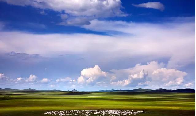 视频首页汤姆 汤姆我非常乐意为你提供帮助