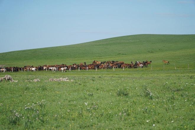 花漾视频 甚至骗取个人信息或财产
